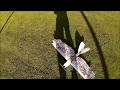 Mini eagle  rc