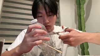 APES DIY Sustainability Project: Creating a Bird Feeder