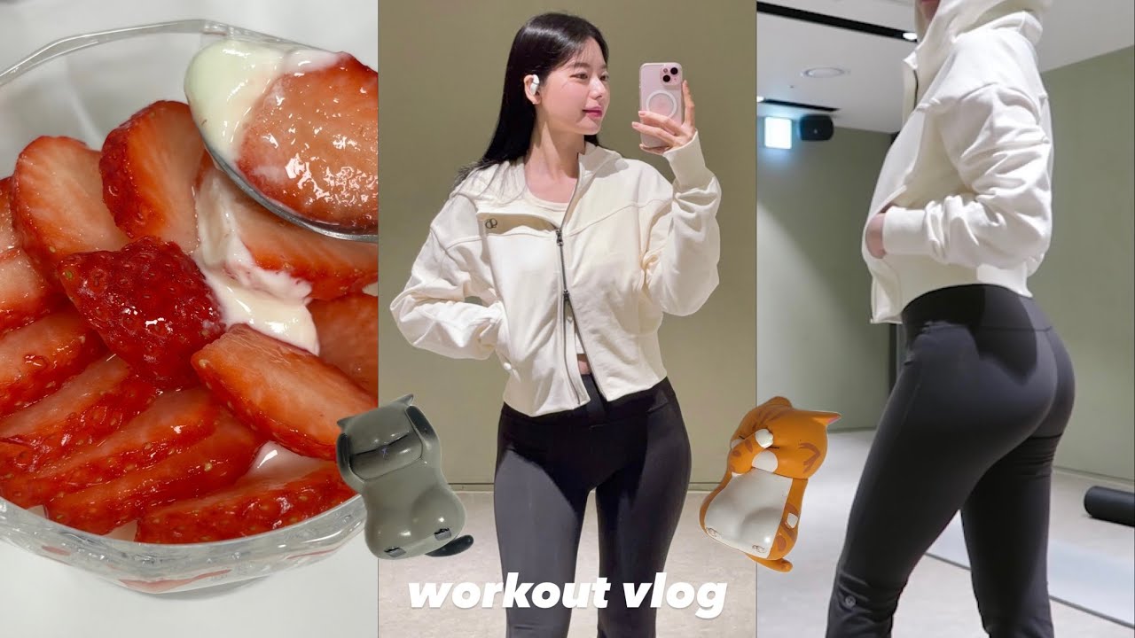딸기 그릭 요거트 만들어 먹고 운동하는 일상, 남산 구경, 가챠 고양이