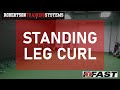 Standing Leg Curl