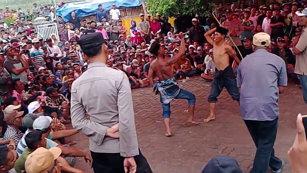 Paiton vs pettong,,,,,