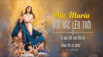 THỨ NĂM - TUẦN XIX THƯỜNG NIÊN - ĐỨC MẸ LÊN TRỜI. Lễ trọng - Lc 1,39-56