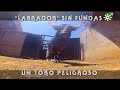 Toros de Saltillo: enfundar pitones al toro peligroso Labrador | Toros desde Andalucía