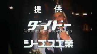 Hulk Hogan's wedding to Linda