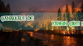 Çanakkale Gelibolu Da Korkutan Yangın . 2020