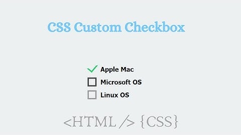 CSS Custom Checkbox List Design | Html CSS