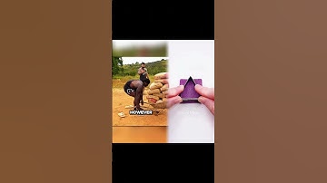 Part 77 Loved it? Like, comment, subscribe! Let