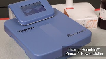 Pierce Power Blotter