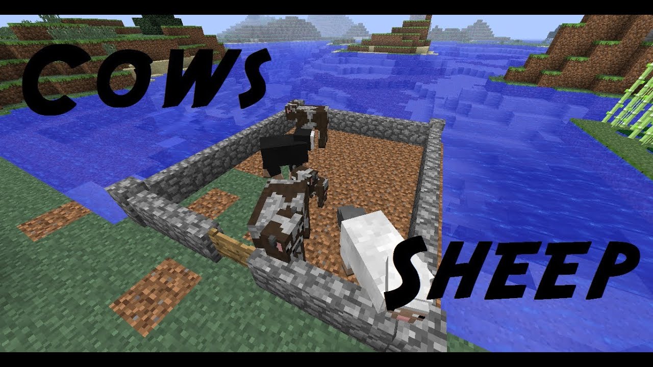 Let's Play Minecraft Episode 8 - YouTube