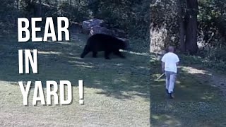 Bear in Yard by House Doctor Ray 811 views 11 months ago 2 minutes, 58 seconds
