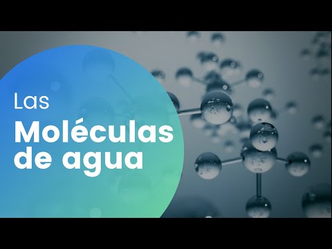 Video: ¿Por qué se unen las moléculas de agua?