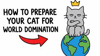 How to Prepare Your Cat for World Domination
