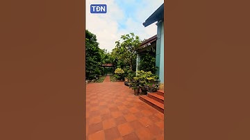 Sân gạch đỏ và màu xanh cây lá  #tamdaonui