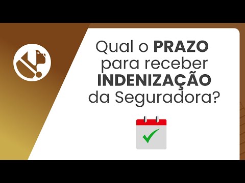 Qual o Prazo Para Receber Indenização da Seguradora? - Vexa Corretora