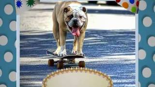 Happy Birthday, Bulldog Style!