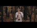 Perfect - Ed Sheeran (Saxophone Cover by Wind N Reed)