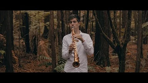 Perfect - Ed Sheeran (Saxophone Cover by Wind N Reed)