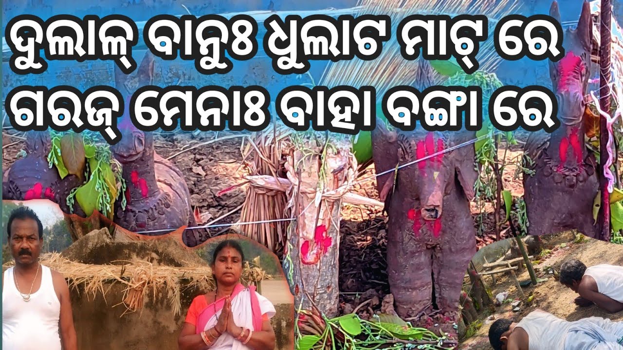 ତେହେଁଞ୍ଜ ଦ ଶ୍ୟାମରାଇ ପୁର ବାହା ବଙ୍ଗା ||  #youtube #like #share #subscribe #comment  ?
