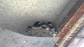 MVI_5846.AVI