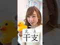 What’s Your Japanese Animal? (Wait for it..)