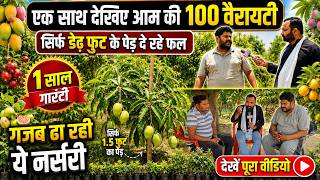 Kisan News | एक साथ देखिए आम की 100 वैरायटी, सिर्फ डेढ फुट के पेड दे रहे फल | Viral Video