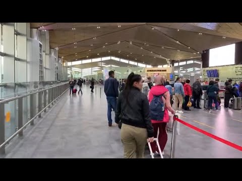 Video: Pulkovo Cvijeće Najveći Je Industrijski Proizvođač Cvjetnih Proizvoda Na Sjeverozapadu