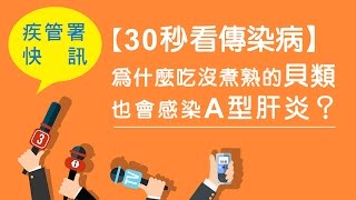 【30秒看傳染病】為什麼吃沒煮熟的貝類也會感染A型肝炎封面圖