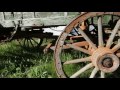 The Dala Horse book trailer
