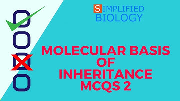 MOLECULAR BASIS OF INHERITANCE MCQs 2 for NEET, AIIMS MCAT, AIPMT, JIPMER, PREMED