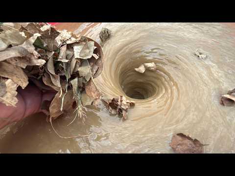 Relaxing Whirlpool Hole With Tree Leaves 154 #satisfying