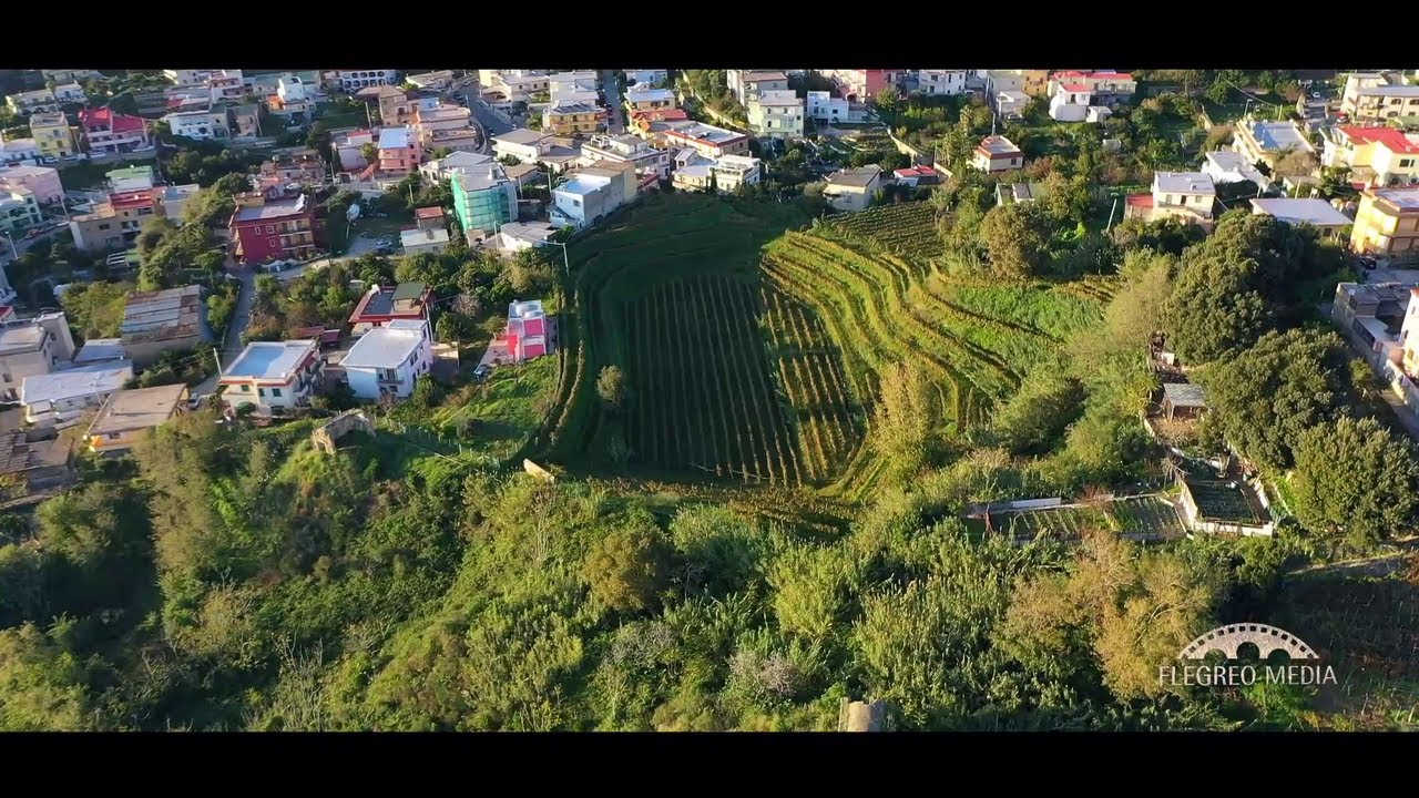 CAMPI FLEGREI - Monte di Procida, il Vulcano Nascosto e i suoi Sentieri