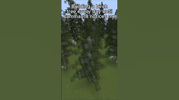 Building a birch tree every day until @camman18 notices me (Day 73)