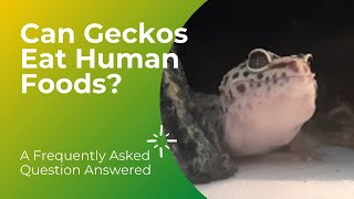 Can Leopard Geckos Eat Human Foods? 🦎 🍉