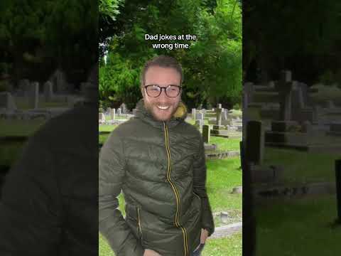 You Got To Be Kitten Me Funny Darkhumor Comedy