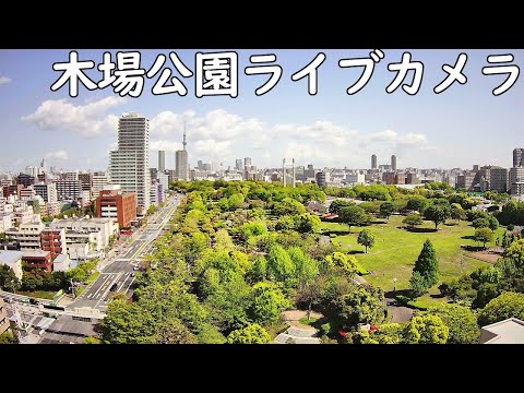 木場公園ライブカメラ(東京都江東区)20250620 8～
