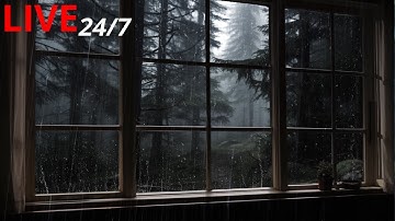 🔴 Dream with Rain & Thunder Sounds for Sleeping | Help Study, PTSD, Insomnia & Tinnitus