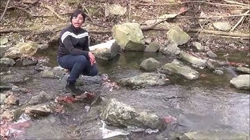 Computational Screening of 2D Materials for Photocatalysis