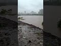 Mula River water levels getting high after 4 days continue rain 🌧  #viralshorts #pune #yoytubeshorts