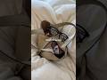 夏のお出かけバッグの中身 #whatsinmybag