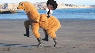 Never Stop Being Larry The Loving Llama - Scp 1545