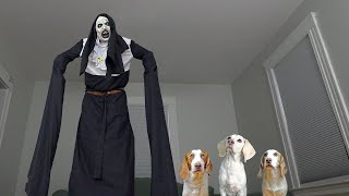 Dogs vs GIANT Evil Nun Prank! Funny Dogs Maymo, Potpie & Indie by Maymo 2,388,205 views 2 months ago 4 minutes, 7 seconds