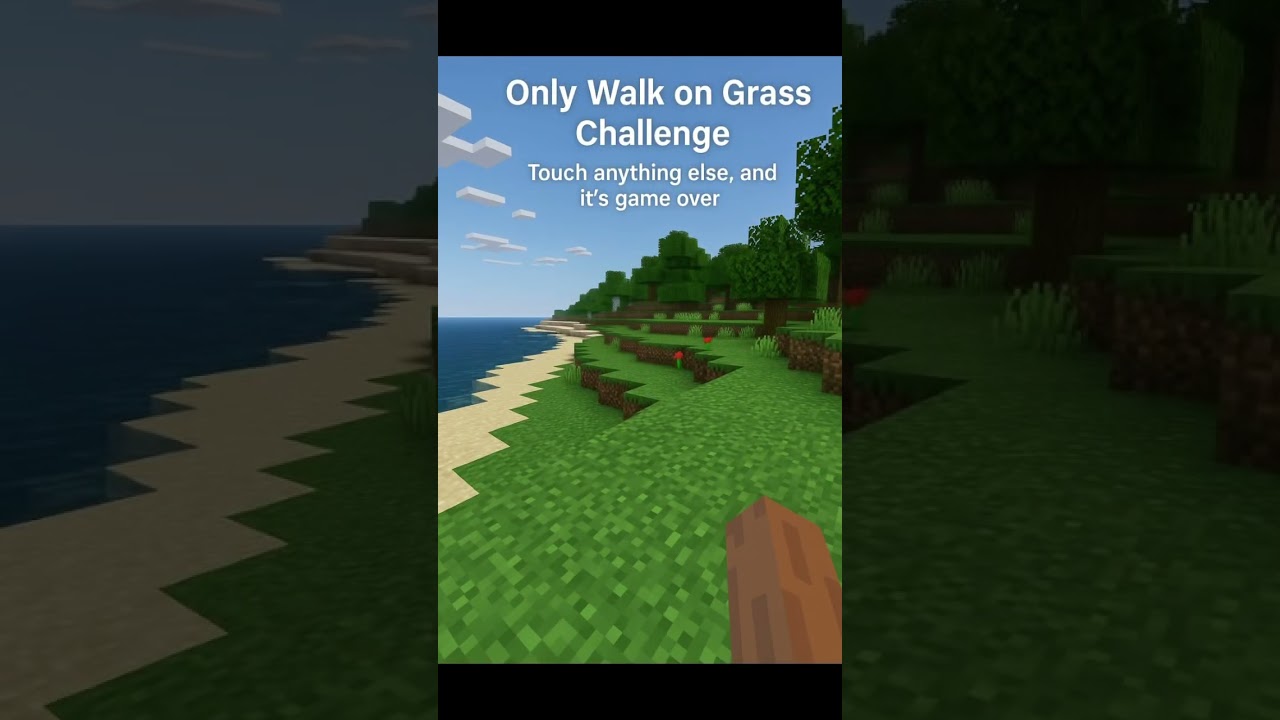 CHALLENGE IDEA 1: Walk on grass only 😂 