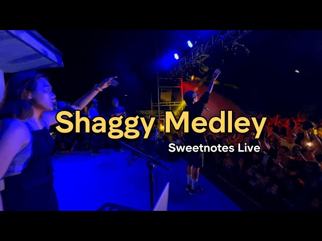 Shaggy Medley | Sweetnotes Live @ Pandan, Camiguin class=