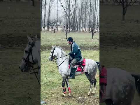 Saltanatı İzlerken Benim Keyfim 😀