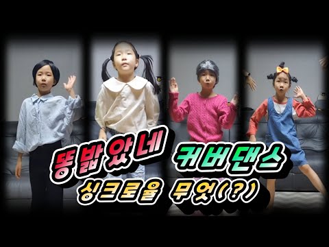 똥밟았네 포텐독 -커버댄스 싱크로율 무엇(?)  롤롤라임 롤롤라임팸