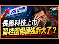 老楊週一直播 長鑫科技上市，碧桂園楊國強虧大了？方星海出事還會牽扯到誰？ 台灣藍白反毒油，對倒閣和九合一選舉的衝擊和影響，其他時政話題，歡迎互動交流