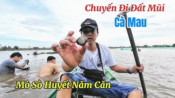 Hành Trình  Đi Đất Mũi Cà Mau Tập 4 ( Mò Sò Huyết )