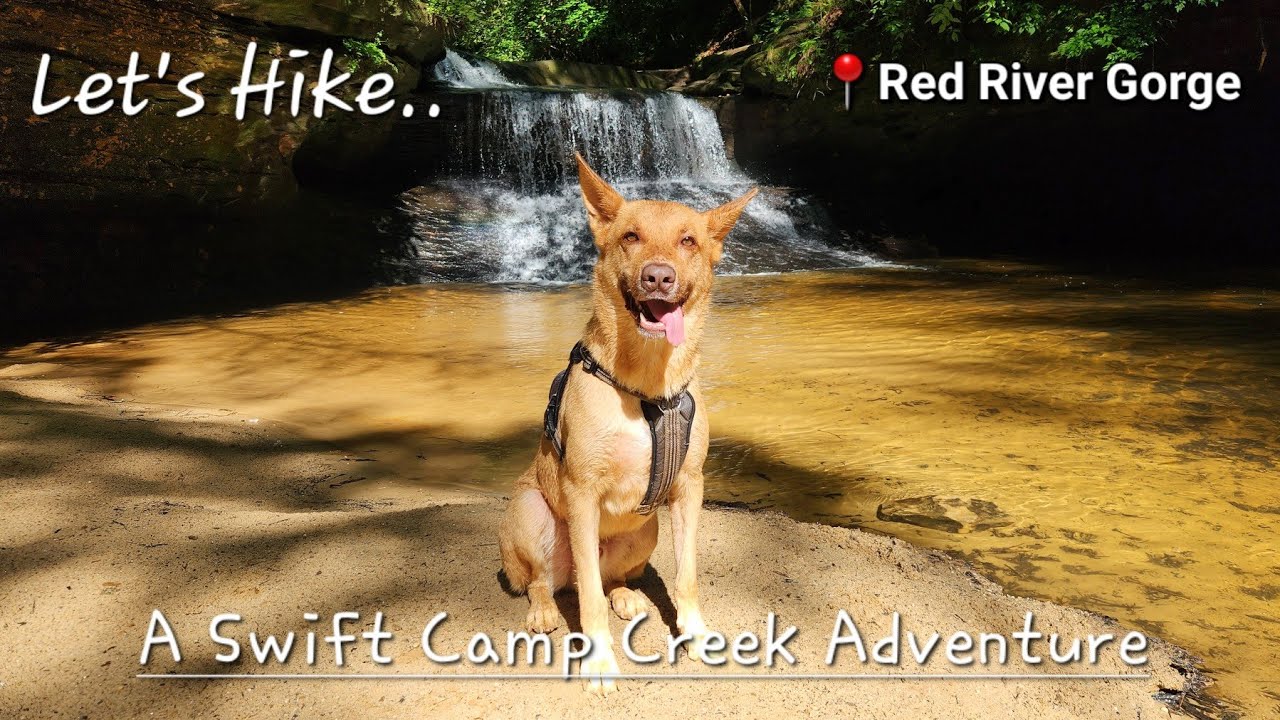Creation Falls, Rock Bridge Arch & Pooch's Turtle Falls - Red River Gorge - Kentucky - 6/26/23
