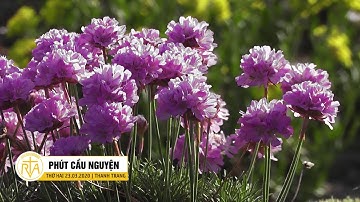 Phút Cầu Nguyện, Thứ Hai 23/03/2020:  Có Một Mùa Chay...!