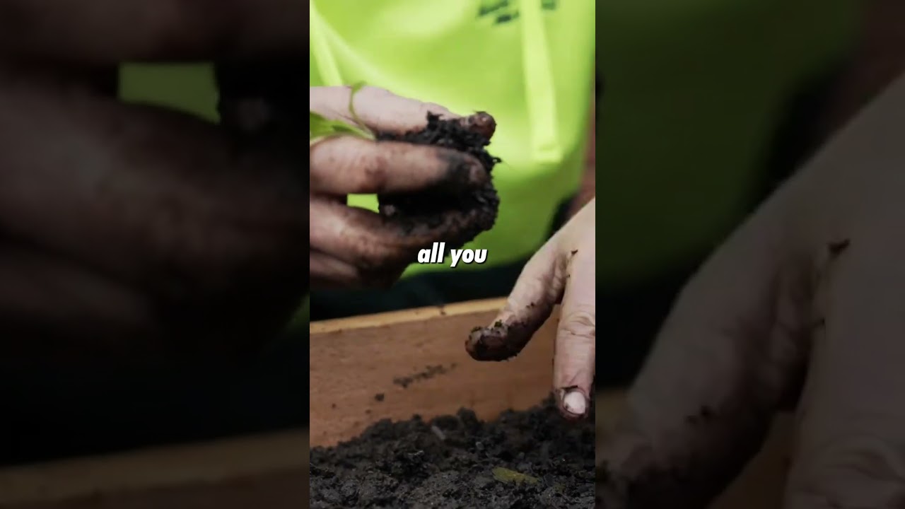 Healthy soil? #jimsmowing #gardeningtips #gardeningtiktok #jimsgroup